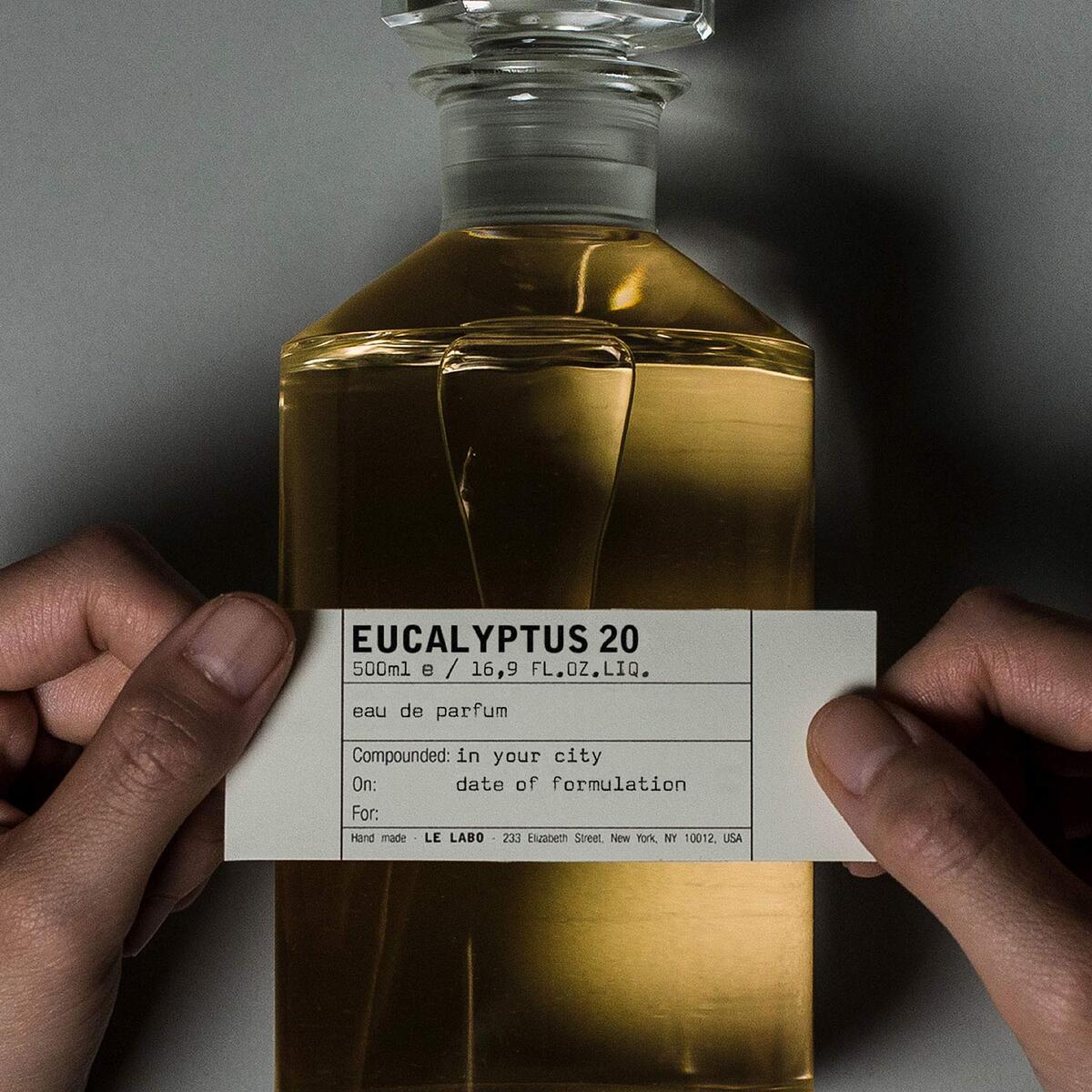 EUCALYPTUS 20